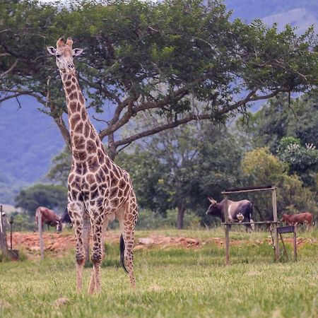 Caracal Lodge Alkmaar ภายนอก รูปภาพ