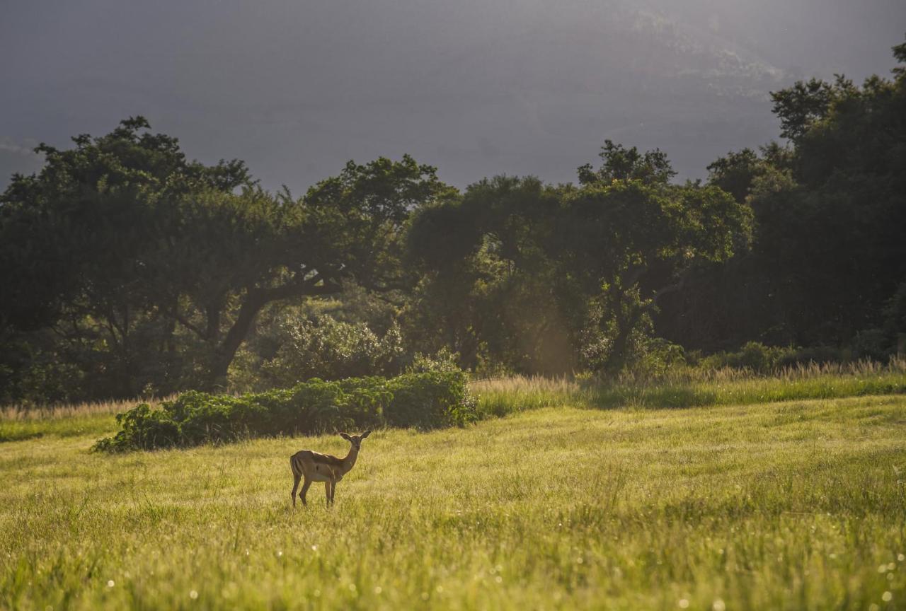 Caracal Lodge Alkmaar ภายนอก รูปภาพ