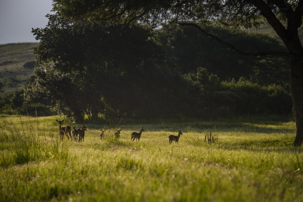 Caracal Lodge Alkmaar ภายนอก รูปภาพ