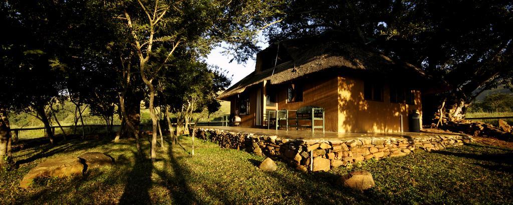 Caracal Lodge Alkmaar ห้อง รูปภาพ